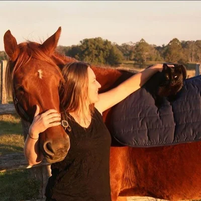 Уникальная дружба: юзеры шокированы историей о коте и коне, которые никогда не расстаются - фото 497549