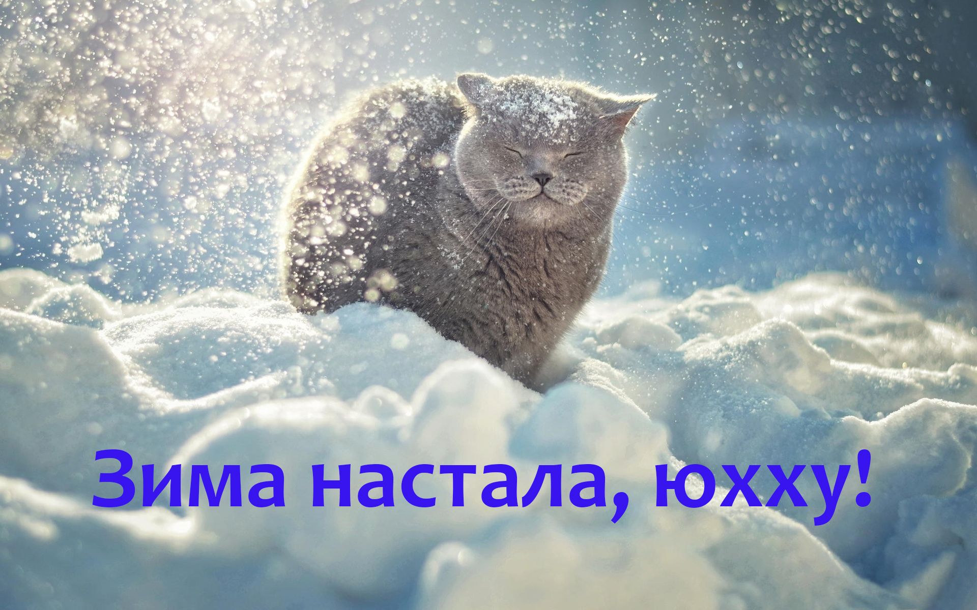 Картинки с первым снегом - атмосферные и прикольные открытки - 497565 Картинки с первым снегом - атмосферные и прикольные открытки - фото 497565