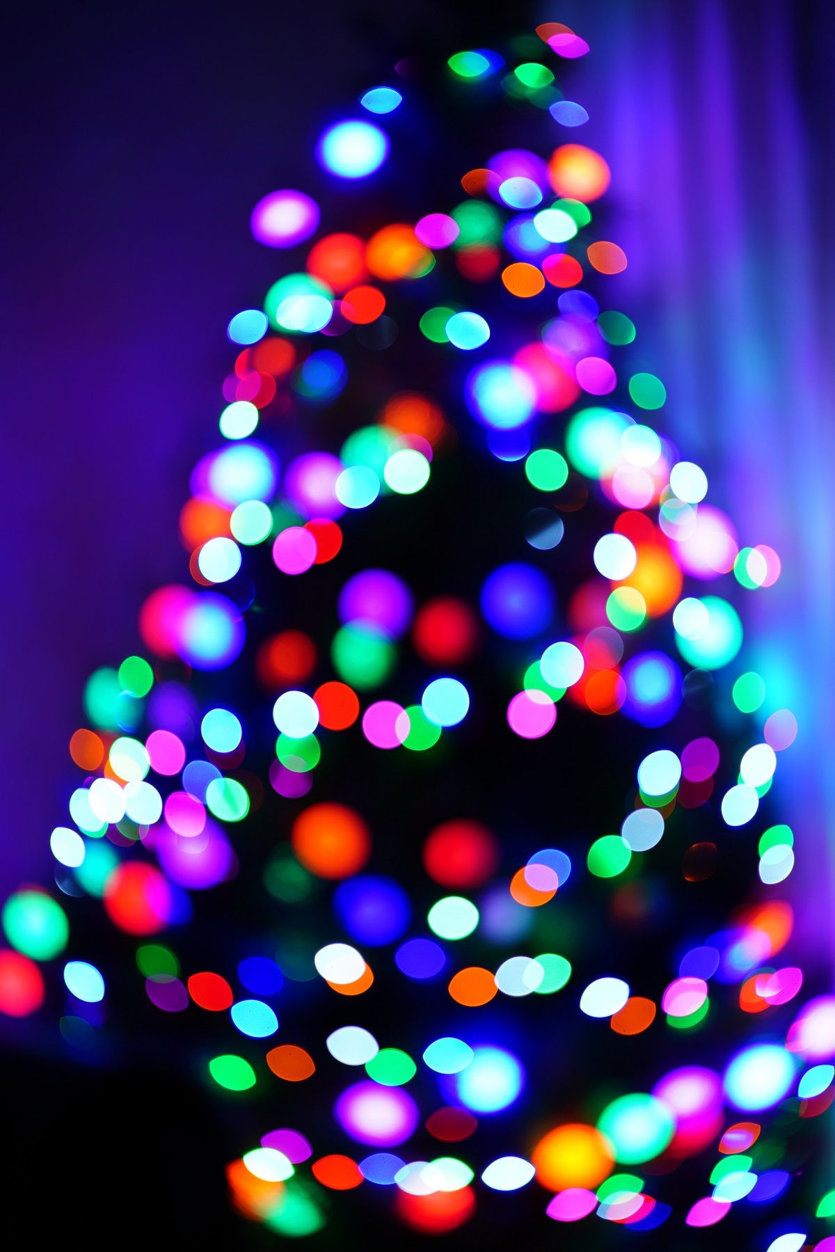 Вихідні у грудні 2020 року - 497727 Вихідні у грудні 2020 року - фото 497727