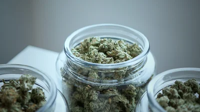 Эксперты говорят, что с годами марихуана стала приносить больше кайфа