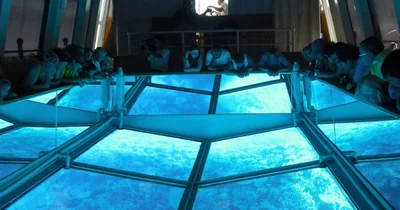 В Єгипті з'явився човен із гігантським скляним дном, крізь яке видно увесь підводний світ - фото 498459