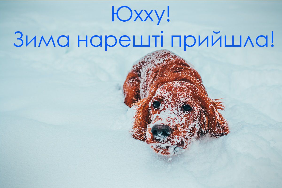 Картинки з першим днем зими 2020 - 498808 Картинки з першим днем зими 2020 - фото 498808