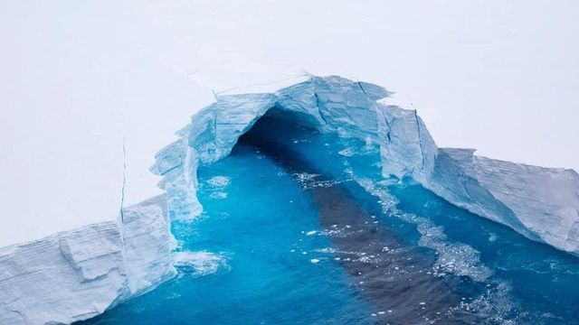 Появились снимки крупнейшего в мире айсберга, который дрейфует через Атлантику - фото 499403