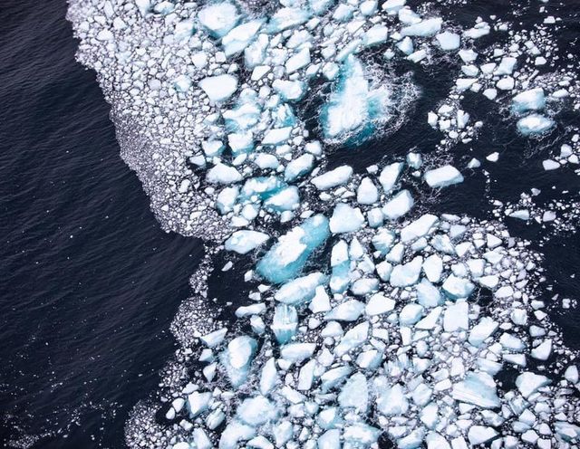 Появились снимки крупнейшего в мире айсберга, который дрейфует через Атлантику - фото 499406