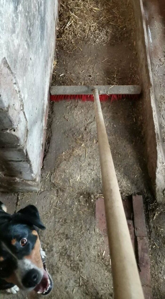 Экстаз для перфекциониста: фото, на которых все абсолютно идеально - фото 499632
