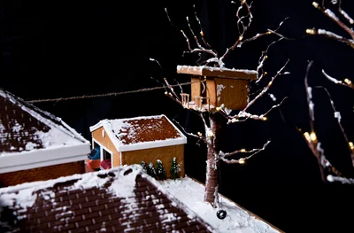 Кондитер сделала имбирный пряник в виде дома из фильма 'Один дома' - фото 499770