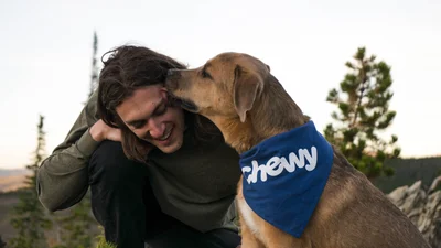 Склали рейтинг домашніх улюбленців за рівнем їхньої любові до хазяїв