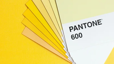 Институт цвета Pantone назвал аж два главных цвета 2021 года