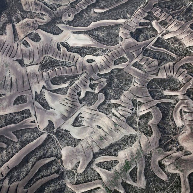 Earth Photo 2020: переможці фотоконкурсу, присвяченого нашій планеті - 499969 Earth Photo 2020: переможці фотоконкурсу, присвяченого нашій планеті - фото 499969