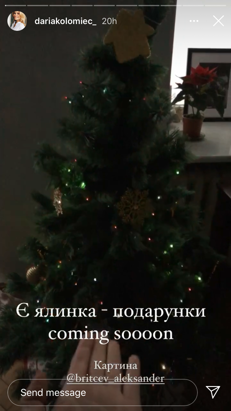Christmas spirit: как украинские селебрити украсили свои елки и дома к праздникам - фото 500488