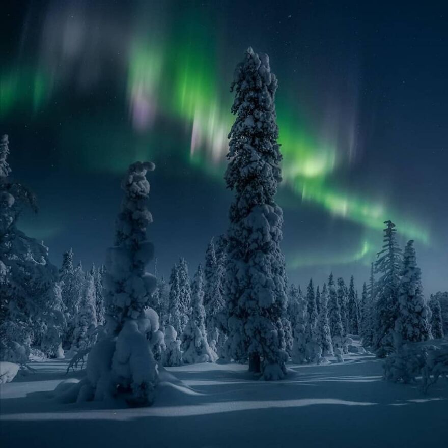 Небесная магия: 25 лучших фото полярного сияния 2020 - фото 500648