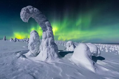 Небесна магія: 25 найкращих фото полярного сяйва 2020 - фото 500663