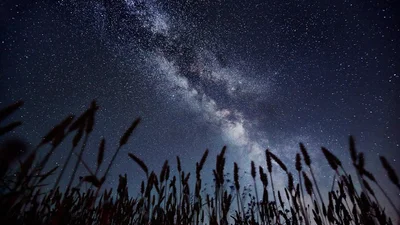 Астрофізики в захопливому відео показали майбутнє Чумацького Шляху
