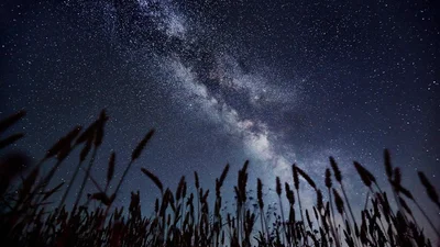 Астрофизики в увлекательном видео показали будущее Млечного Пути