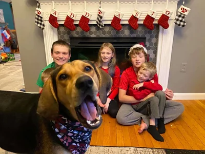Семья устроила новогодний фотосет, но все кадры испортила эмоциональная собака - фото 501362