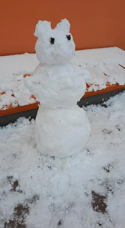 Разучились лепить: в сети появляются смешные фото киевских снеговиков - фото 501529