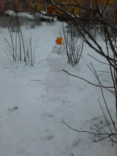 Разучились лепить: в сети появляются смешные фото киевских снеговиков - фото 501530