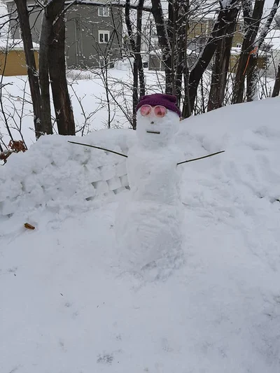 Разучились лепить: в сети появляются смешные фото киевских снеговиков - фото 501531