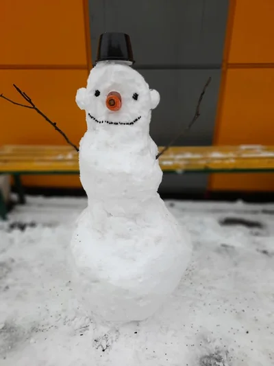 Разучились лепить: в сети появляются смешные фото киевских снеговиков - фото 501532
