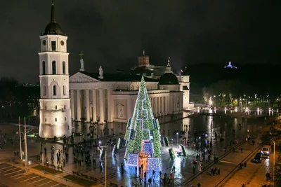 Киевская елка попала в ТОП-10 самых красивых новогодних деревьев в Европе - фото 501620