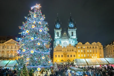 Киевская елка попала в ТОП-10 самых красивых новогодних деревьев в Европе - фото 501627