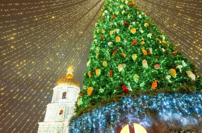 Киевская елка попала в ТОП-10 самых красивых новогодних деревьев в Европе - фото 501629