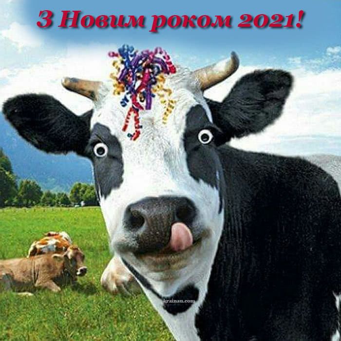 Картинки с Новым годом 2021: новогодние открытки для поздравлений - 502015 Картинки с Новым годом 2021: новогодние открытки для поздравлений - фото 502015