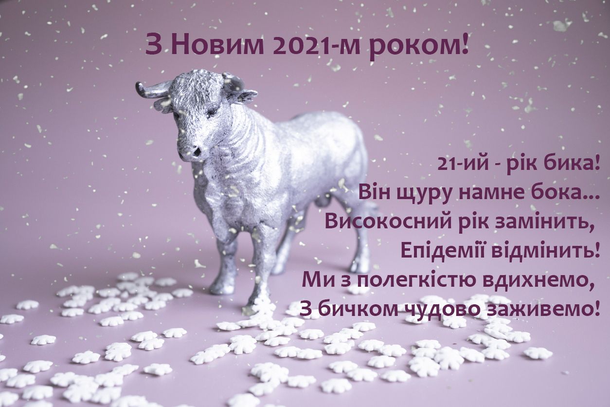 Картинки с Новым годом 2021: новогодние открытки для поздравлений - 502019 Картинки с Новым годом 2021: новогодние открытки для поздравлений - фото 502019