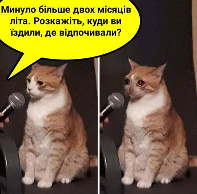 ТОП найкращих мемів 2020 року, які, попри все, піднімали нам настрій - 502204 ТОП найкращих мемів 2020 року, які, попри все, піднімали нам настрій - фото 502204