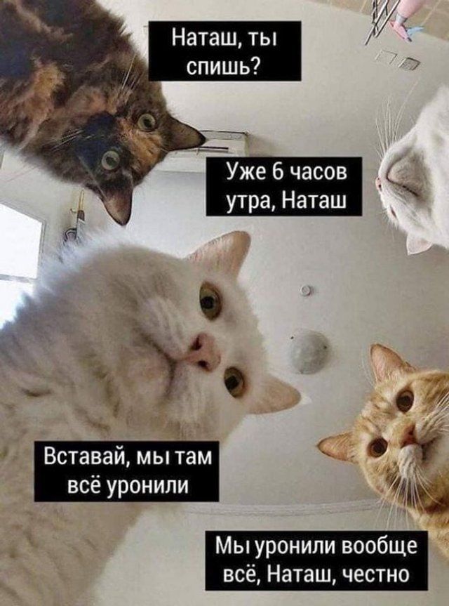 ТОП найкращих мемів 2020 року, які, попри все, піднімали нам настрій - 502208 ТОП найкращих мемів 2020 року, які, попри все, піднімали нам настрій - фото 502208