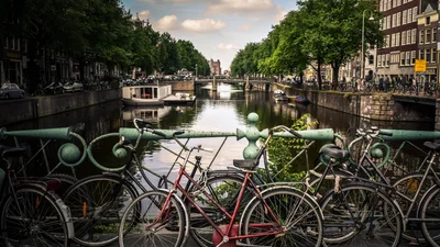 Мудро: нидерландские города отказываются от брусчатки на пользу травы и деревьев
