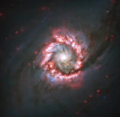 Космічна краса: навколо надмасивної чорної діри астрономи помітили зоряну троянду - фото 503252