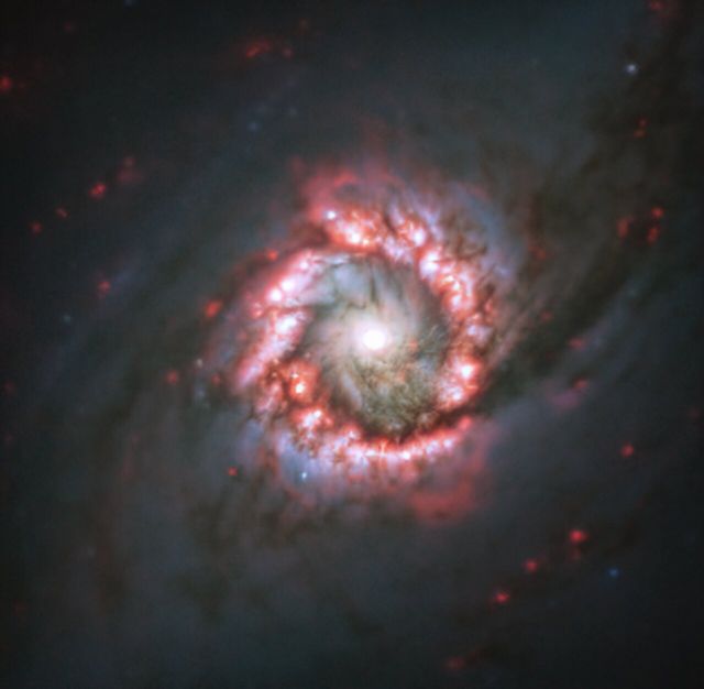 Космическая красота: вокруг сверхмассивной черной дыры астрономы заметили звездную розу - фото 503252
