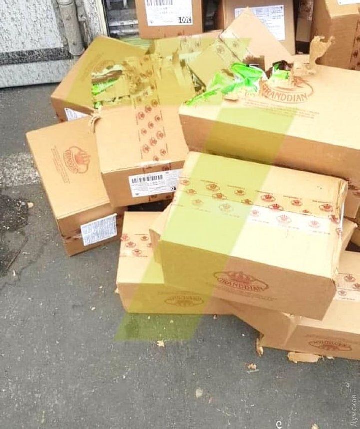 Кошка-путешественница залезла на корабль с конфетами и доплыла из Одессы в Израиль - 503335 Кошка-путешественница залезла на корабль с конфетами и доплыла из Одессы в Израиль - фото 503335