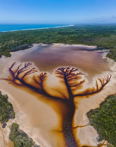 В Австралии нашли озеро, на котором появляются реалистические рисунки - фото 503399