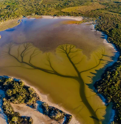В Австралии нашли озеро, на котором появляются реалистические рисунки - фото 503400