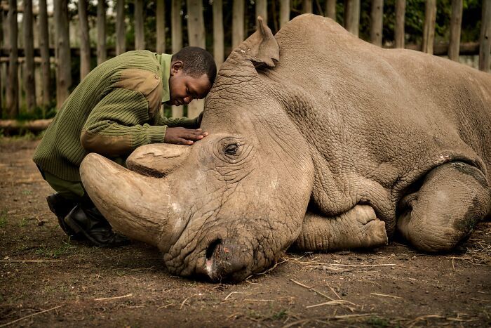 Конкурс Wildlife Photographer Of The Year представил 25 лучших снимков дикой природы - 503554 Конкурс Wildlife Photographer Of The Year представил 25 лучших снимков дикой природы - фото 503554