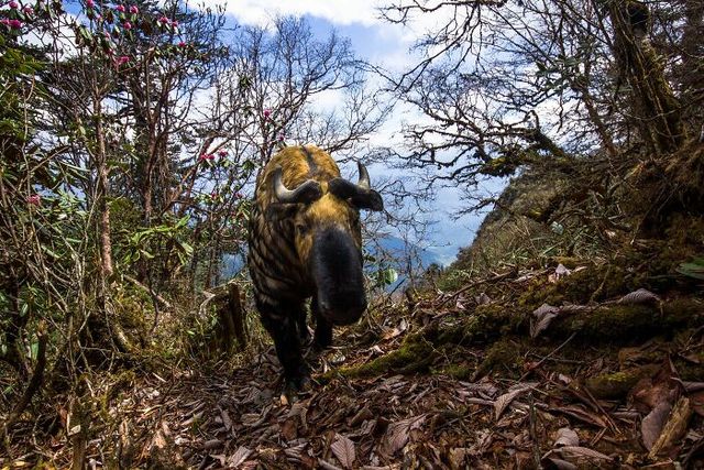 Конкурс Wildlife Photographer Of The Year представил 25 лучших снимков дикой природы - фото 503569