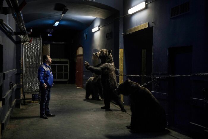 Конкурс Wildlife Photographer Of The Year представил 25 лучших снимков дикой природы - 503575 Конкурс Wildlife Photographer Of The Year представил 25 лучших снимков дикой природы - фото 503575
