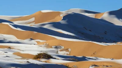 В Сахаре выпал снег, и это невероятно красивое явление