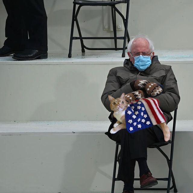 Американский политик пришел на инаугурацию Байдена в вязаных варежках и стал мемом - фото 503933
