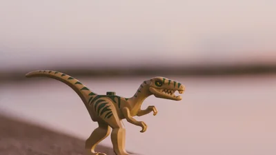 4-летняя девочка случайно нашла след динозавра, которому 220 миллионов лет