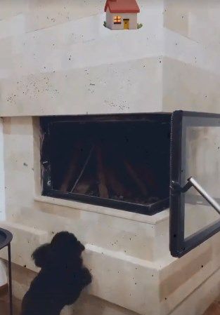Переїхала до казки: MamaRika показала свій новий дім в Одесі - фото 504894