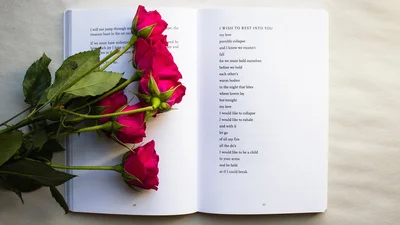 Цитати про кохання: красиві слова про любов з книг