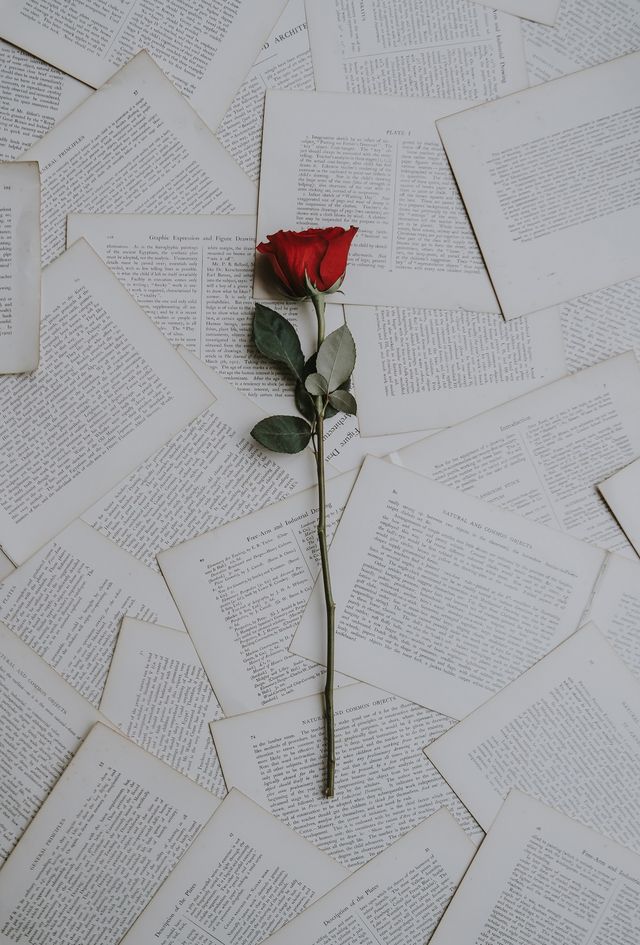 Цитаты о любви: красивые слова о любви из книг - фото 505763