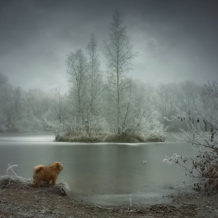 Конкурс Tokyo International Foto Awards 2020 опубликовал чарующие снимки победителей - 505986 Конкурс Tokyo International Foto Awards 2020 опубликовал чарующие снимки победителей - фото 505986