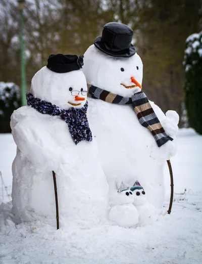 Ці люди вивели ліплення сніговиків на новий рівень, і цієї зими в них треба повчитися - фото 506067