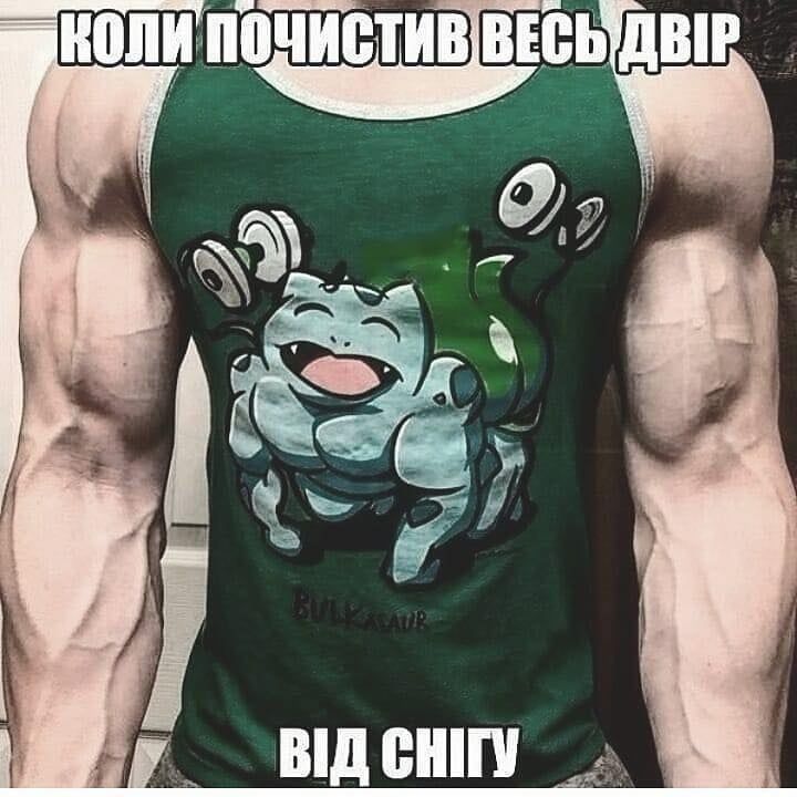 Прикольні меми про сніжну зиму 2021, в яких ти впізнаєш себе - фото 506171