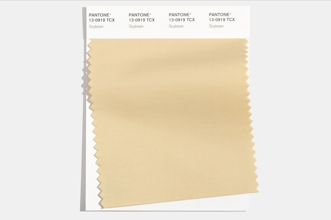 Готуємось завчасно: Інститут кольору Pantone назвав трендові кольори осені 2021 - фото 506273
