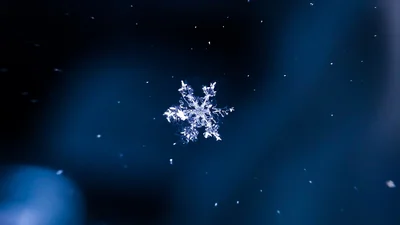 Видео дня: вот как образуются снежинки